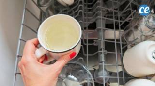 Lave-Vaisselle : L'Astuce de la Tasse Pour Réduire Votre Facture d'Électricité