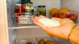 Pourquoi Mettre du Sel Dans le Frigo