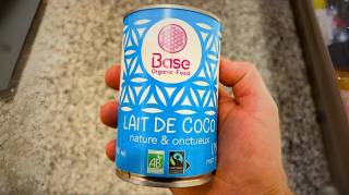 10 Bienfaits Inattendus du Lait de Coco pour la Santé