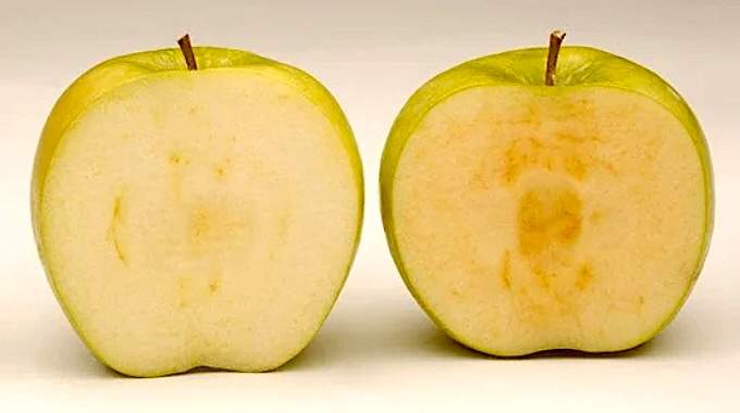 Pomme Coupée : 9 Astuces pour la Conserver Sans Qu'elle Noircisse.