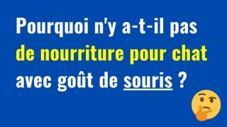 Top 257 des Meilleures Questions Existentielles avec Réponses