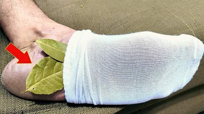 Pourquoi Mettre des Feuilles de Laurier Sous Vos Pieds Avant de Dormir ?