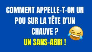 Top 29 Des Meilleures Blagues Sur Les Chauves