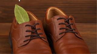Feuille de Laurier Dans Les Chaussures : Une Astuce Naturelle aux Multiples Bienfaits