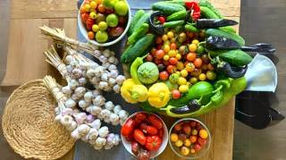 Les 10 Légumes les Plus Faciles à Faire Pousser pour les Débutants