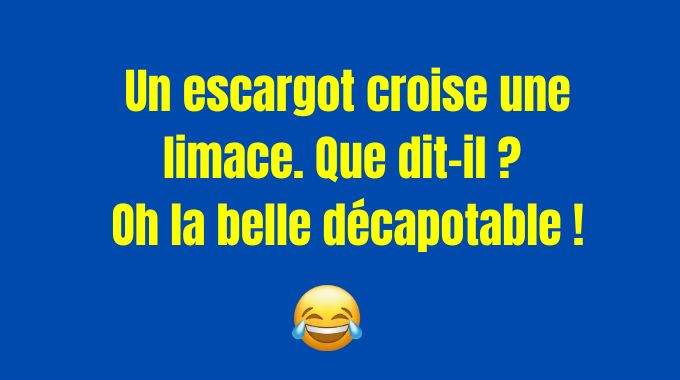Les 348 Meilleures Blagues Super Nulles Mais tellement Drôles.