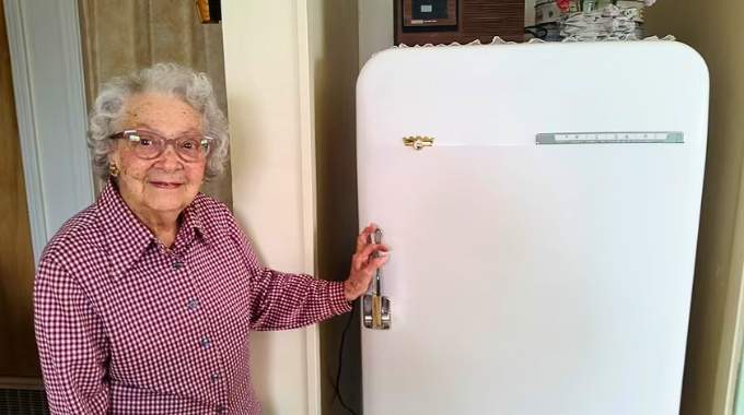 Quelle est la Différence entre un Réfrigérateur et un Frigo ?