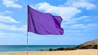 Peu de gens connaissent la véritable signification du drapeau violet à la plage