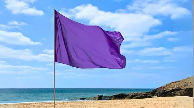 Peu de gens connaissent la véritable signification du drapeau violet à la plage