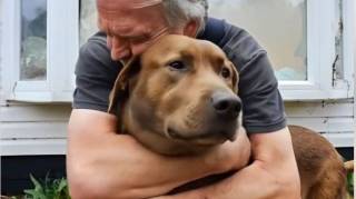 Un vieil homme est arrivé dans une clinique vétérinaire en demandant qu’on euthanasie son chien