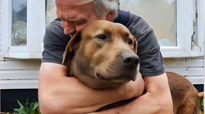 Un vieil homme est arrivé dans une clinique vétérinaire en demandant qu’on euthanasie son chien