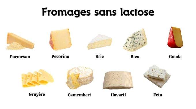 Quels sont les fromages sans lactose à choisir en cas d'intolérance ? Voici la liste