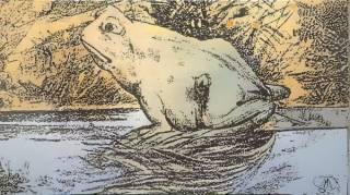 Parvenez-vous à distinguer le cheval dissimulé dans ce dessin de grenouille