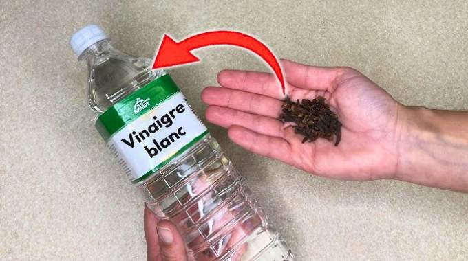 Pourquoi faut-il mettre des clous de girofle dans du vinaigre blanc ?