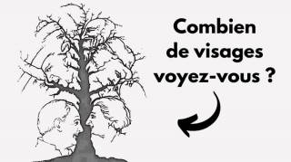 Combien de visages dissimulés dans cet arbre voyez-vous