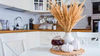 Interdite en France l'herbe de la pampa peut vous valoir une amende salée si vous en possédez chez vous