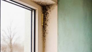 La condensation et les moisissures sur les fenêtres c’est fini avec cette solution ultra efficace