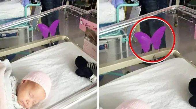 L'autocollant papillon violet dans les hôpitaux près d'un nouveau-né a une signification qui vous brisera le cœur