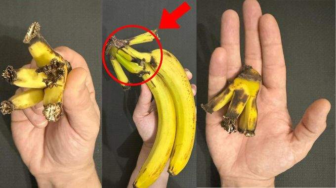 Vous ne jetterez plus jamais cette partie de la banane une fois que vous aurez découvert son pouvoir…
