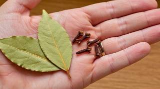 Mélange de laurier et de clou de girofle : une fois que vous l'aurez essayé vous me remercierez