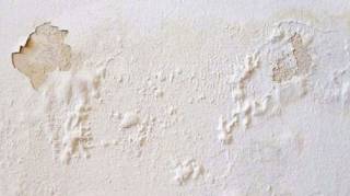 Réparer facilement des murs moisis ou écaillés en quelques minutes sans faire appel à un pro