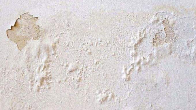 Réparer facilement des murs moisis ou écaillés en quelques minutes, sans faire appel à un pro