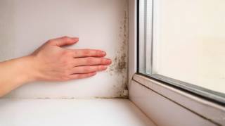 Vous avez des taches de moisissure dans les angles  Voici la technique la plus efficace pour s’en débarrasser
