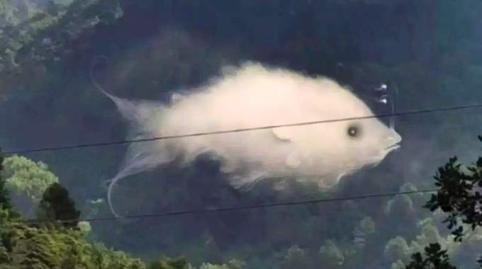 Ce que vous voyez en premier sur cette image r&eacute;v&egrave;le quelque chose d'important sur votre personnalit&eacute;