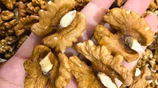 Les bienfaits prouvés des noix sur la santé quantité idéale à consommer et plus encore —(selon la science