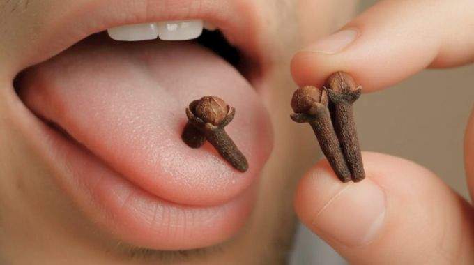 Mâcher 2 clous de girofle chaque jour peut changer votre santé, mais la plupart des gens ne le savent pas