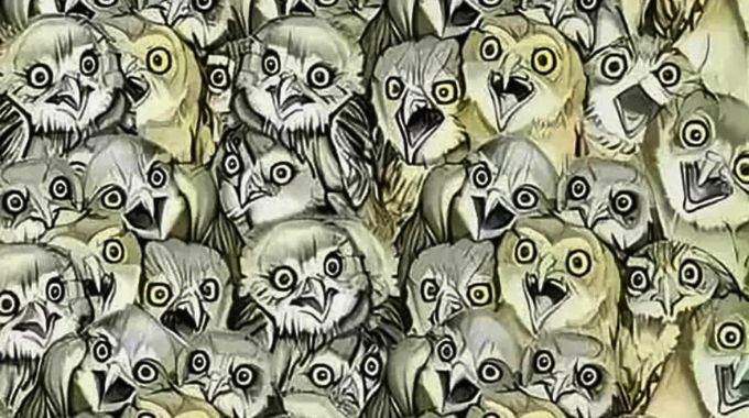 Seules les personnes avec une très bonne vue parviennent à trouver le chat...