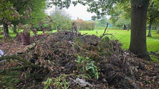 Seuls ceux qui ont un QI élevé et un œil de lynx réussiront à repérer le chien caché dans cette image