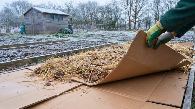 Jardin : ce mat&eacute;riau gratuit &agrave; poser en hiver pour bloquer les mauvaises herbes et garder un sol souple