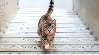 La premi&egrave;re chose que vous verrez r&eacute;v&eacute;lera quelque chose de profond sur votre personnalit&eacute;