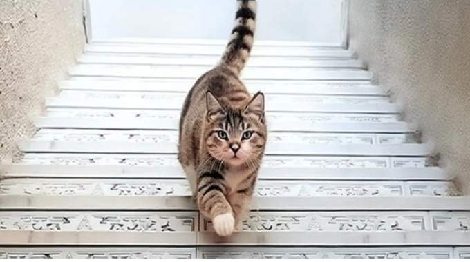 La premi&egrave;re chose que vous verrez r&eacute;v&eacute;lera quelque chose de profond sur votre personnalit&eacute;