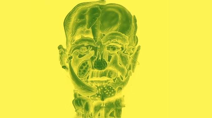 Pas de triche : le premier animal que vous verrez sur cette image r&eacute;v&eacute;lera votre pire d&eacute;faut