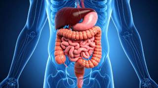 Nettoyage du c&ocirc;lon naturel : la boisson d&eacute;tox qui agit en 1 seule nuit