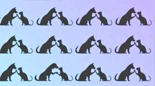 Presque personne ne trouve l'intrus dans cette image