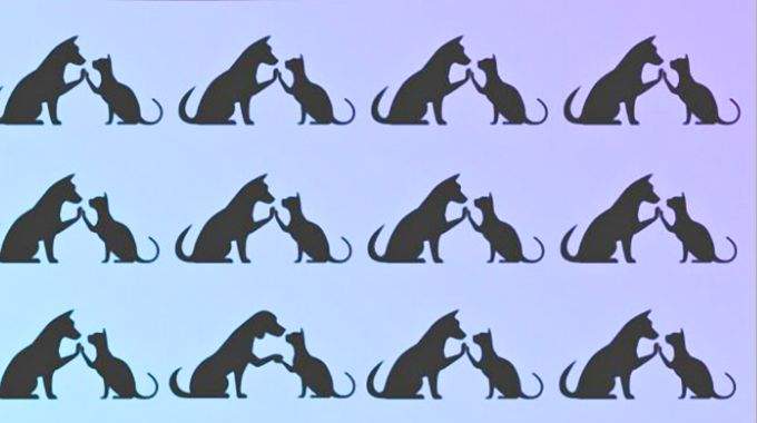 Presque personne ne trouve l'intrus dans cette image