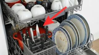 Questions pas bêtes