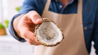 Vous n&rsquo;avez pas de jardin  Les coquilles d&rsquo;hu&icirc;tres peuvent quand m&ecirc;me vous servir &agrave; la maison