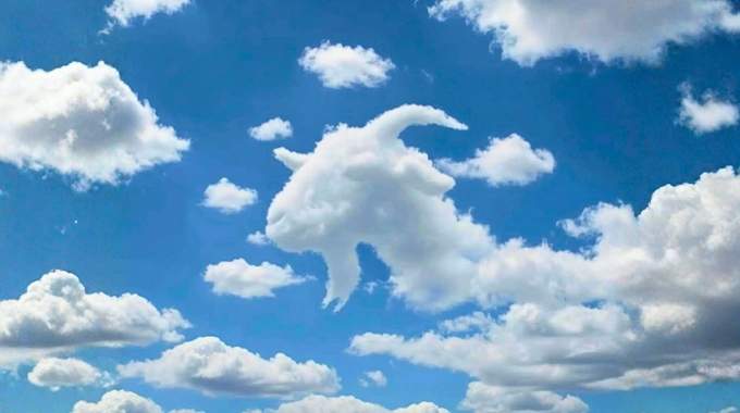 Vous voyez d&rsquo;abord une tortue ou une ch&egrave;vre ? Voici ce que cela dit sur votre cerveau