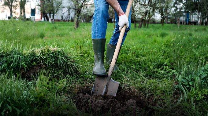 Est-il autoris&eacute; d'enterrer son animal de compagnie dans son jardin ?