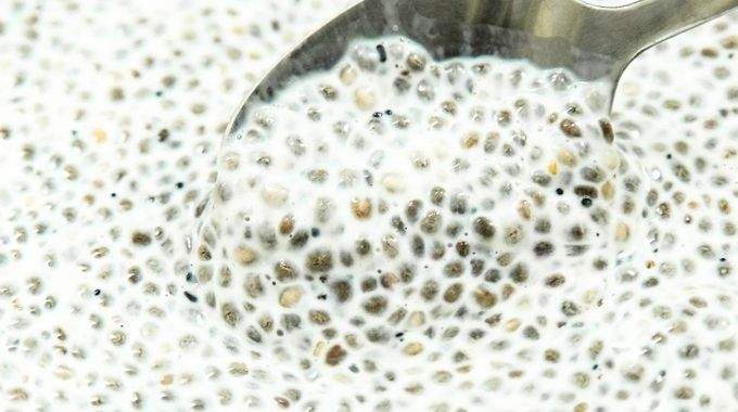 Elles pr&eacute;viennent le risque de maladie d'Alzheimer, diminuent le cholest&eacute;rol et vous aident &agrave; perdre du poids