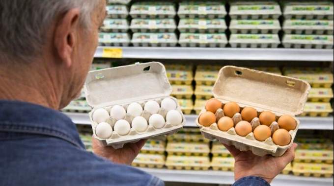 &laquo; Je l&rsquo;ai d&eacute;couvert &agrave; 60 ans &raquo; : la diff&eacute;rence entre les &oelig;ufs blancs et les &oelig;ufs bruns que presque personne ne conna&icirc;t
