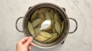 L&rsquo;astuce du bicarbonate de soude sur le laurier : une technique de grand-m&egrave;re qu&rsquo;il ne faut surtout pas oublier