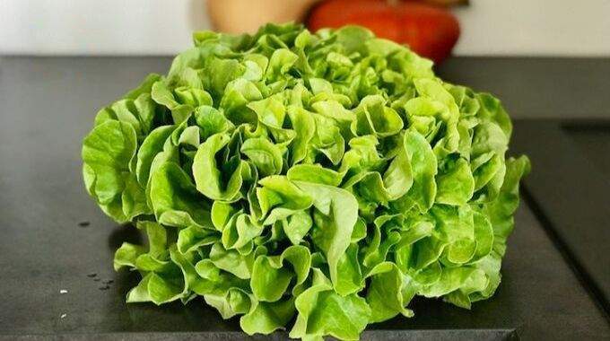 Le truc simple et efficace pour enlever les pesticides sur une salade