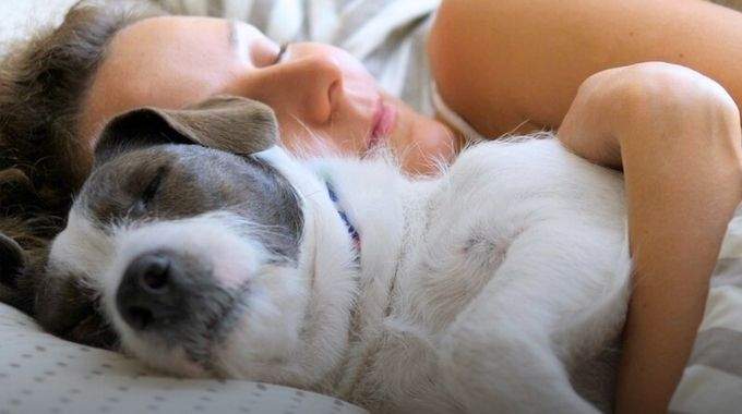 Les personnes qui dorment avec leurs animaux de compagnie ont ces 7 caract&eacute;ristiques selon les psychologues