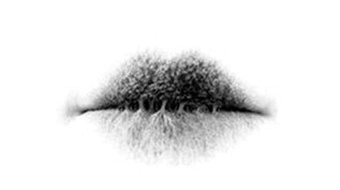 Qu'avez-vous vu en premier ? &Ccedil;a en dit bien plus sur vous que n'importe quel psychologue