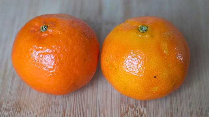 Quelle diff&eacute;rence entre une mandarine et une cl&eacute;mentine ? L&rsquo;astuce pour ne plus se tromper